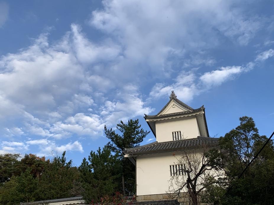 挙母城