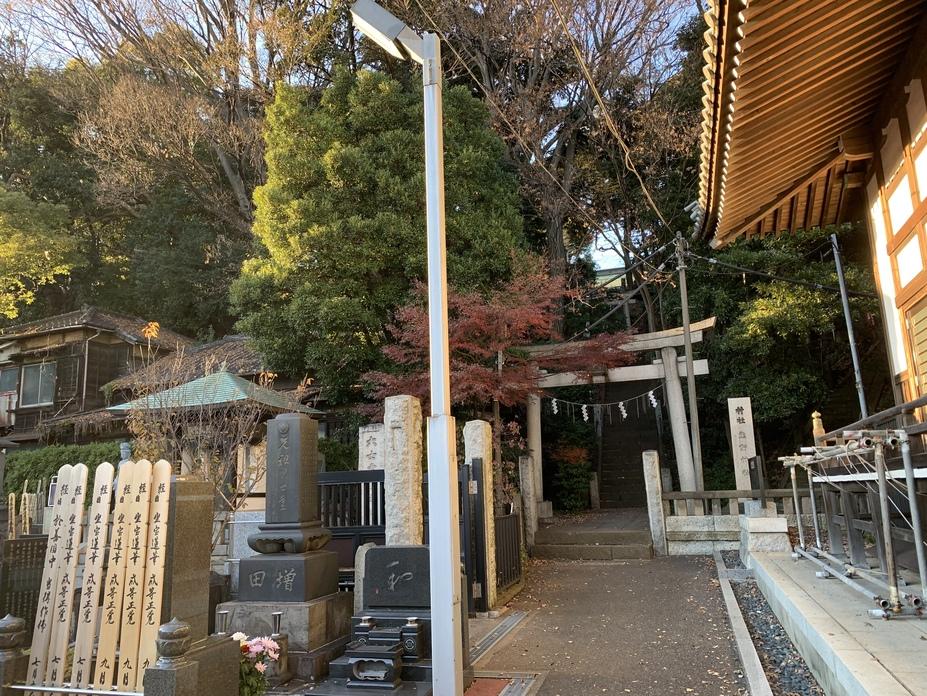 新井宿城