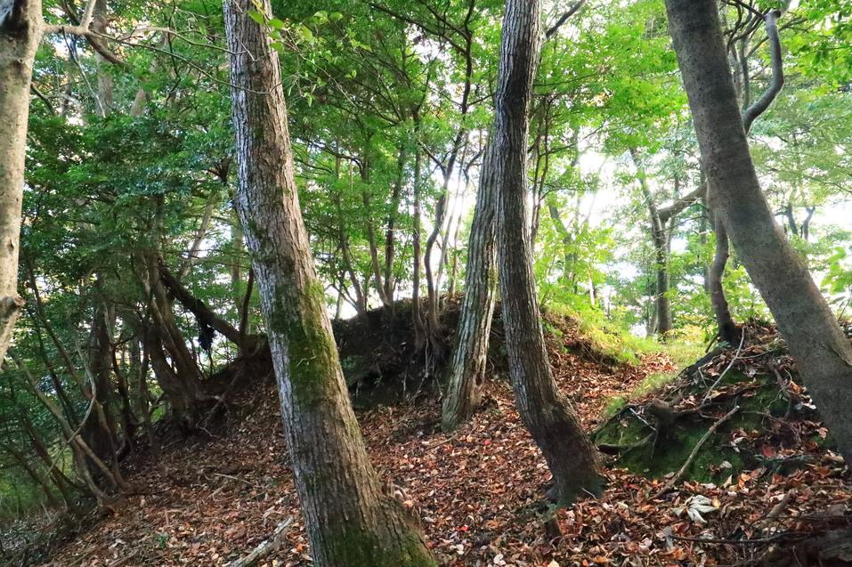 勝山城