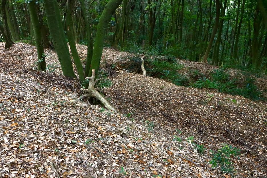 勝尾城筑紫氏城館
