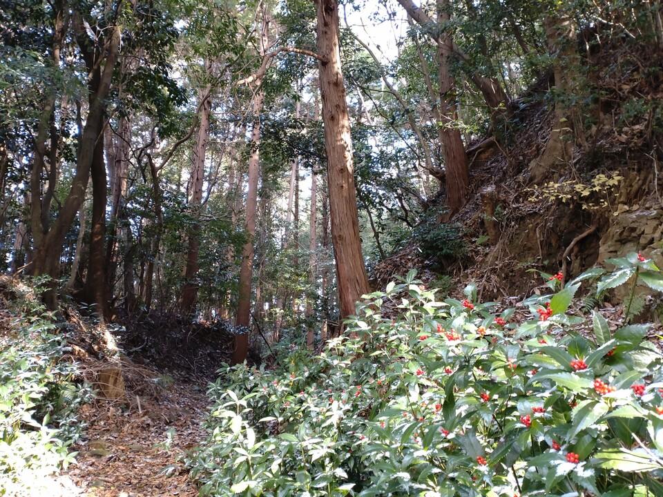 岩略寺城
