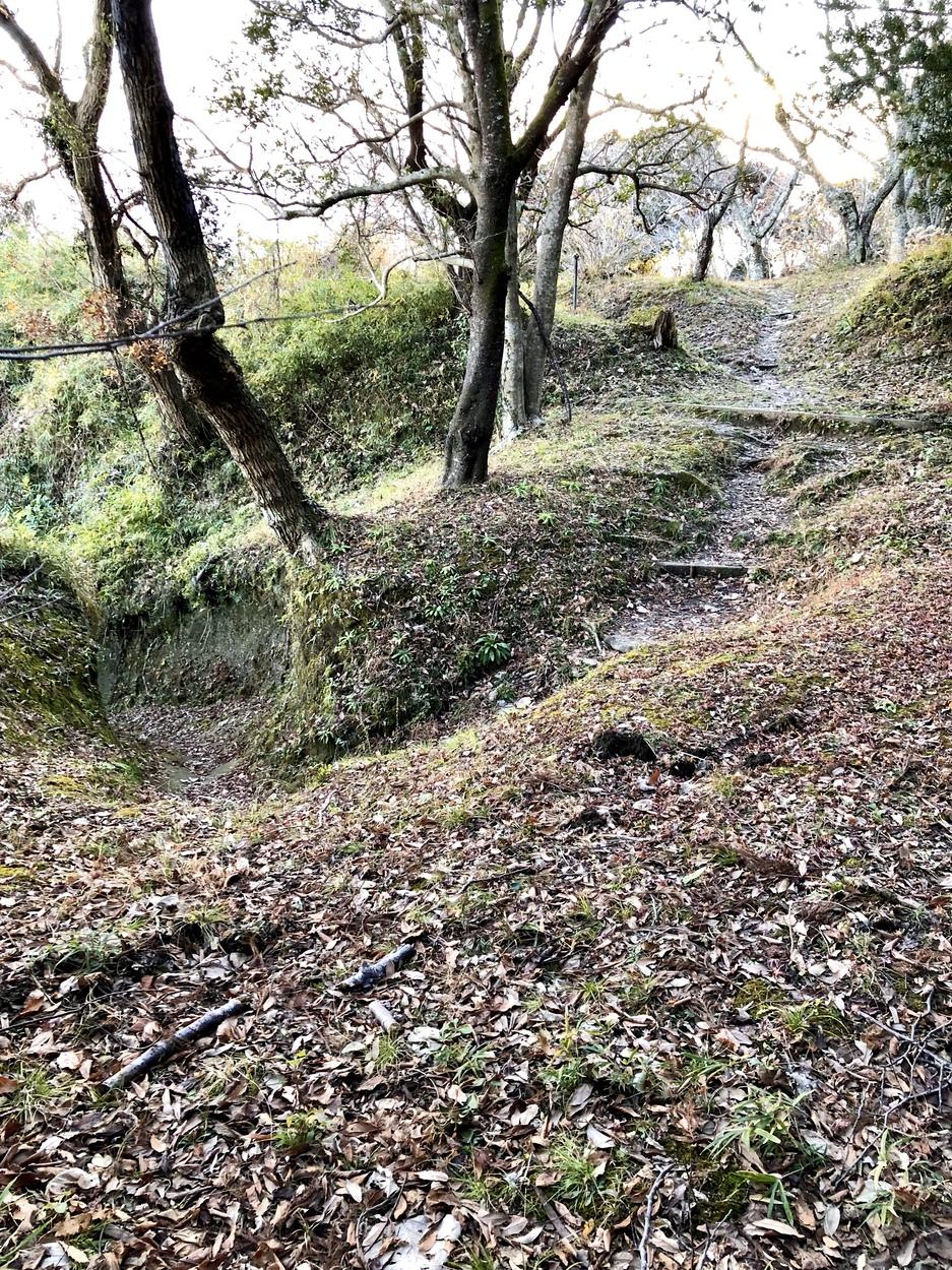 本納城