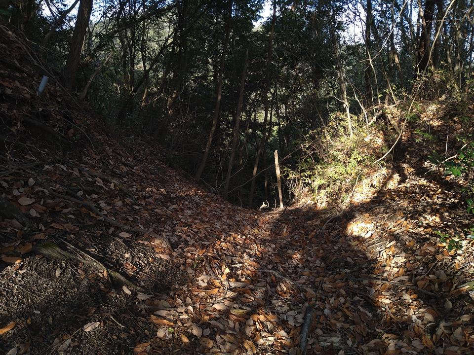 根福寺城