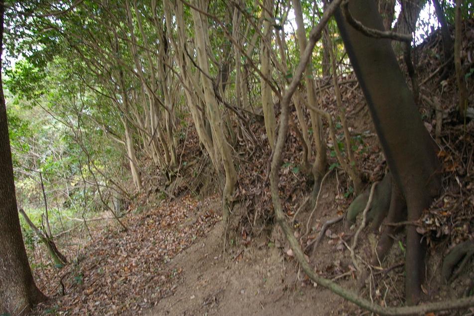 佐賀城