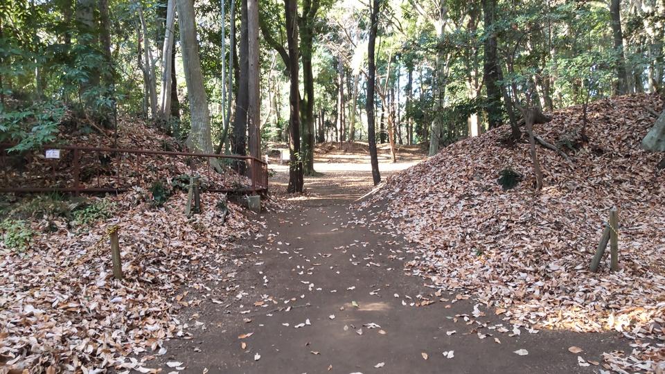 増尾城