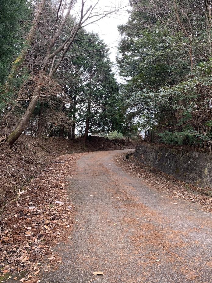 田沢城