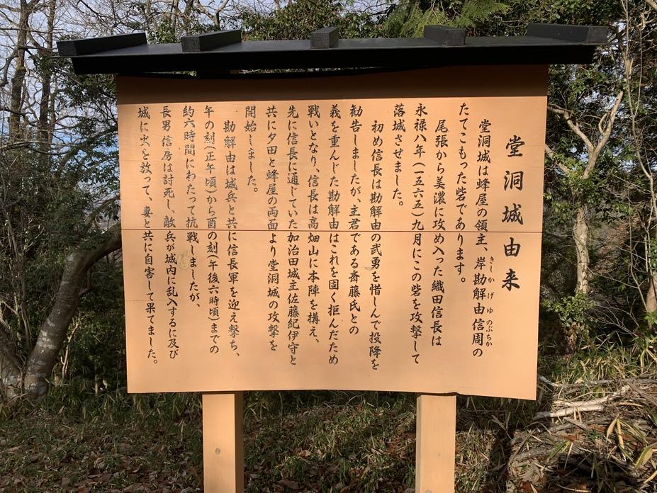 堂洞城
