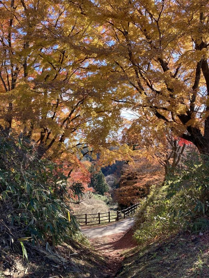 岩切城