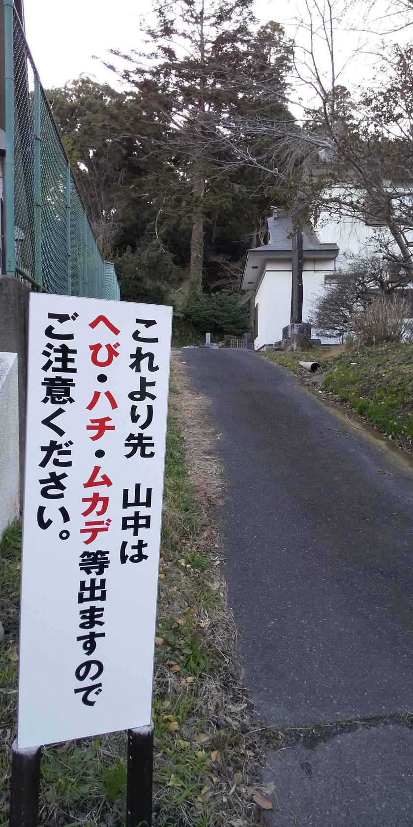 東金城