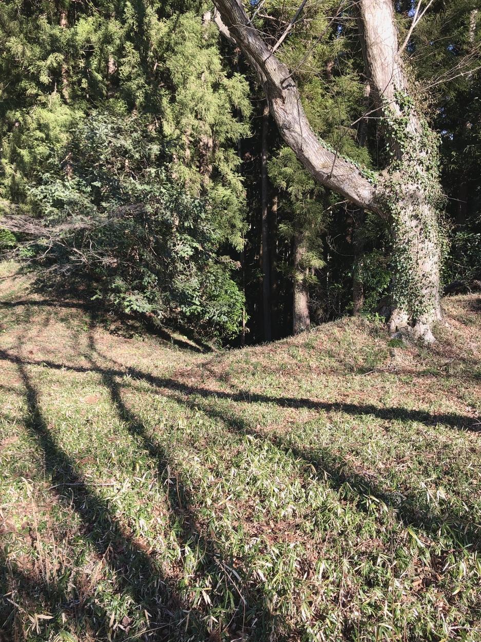 伊王野城