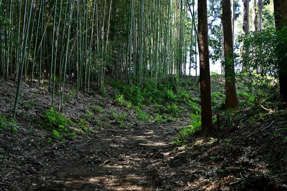 瓜連城