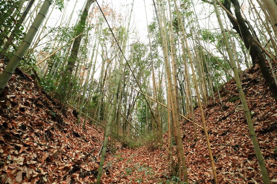 亀山城