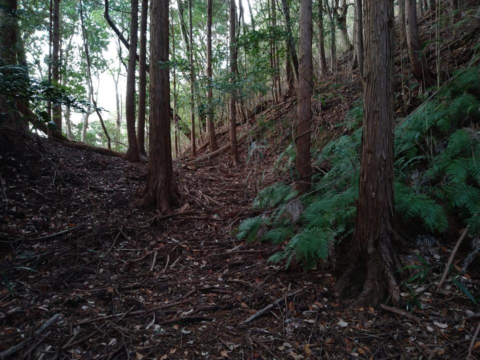 根福寺城