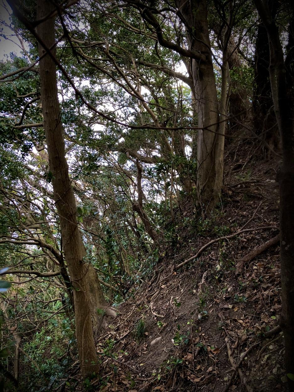 勝山城