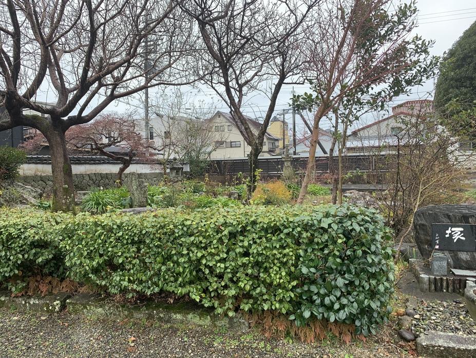 堀内新宮城