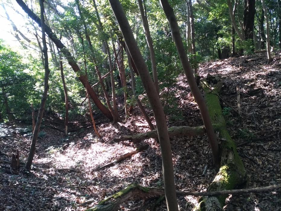 鎌田城