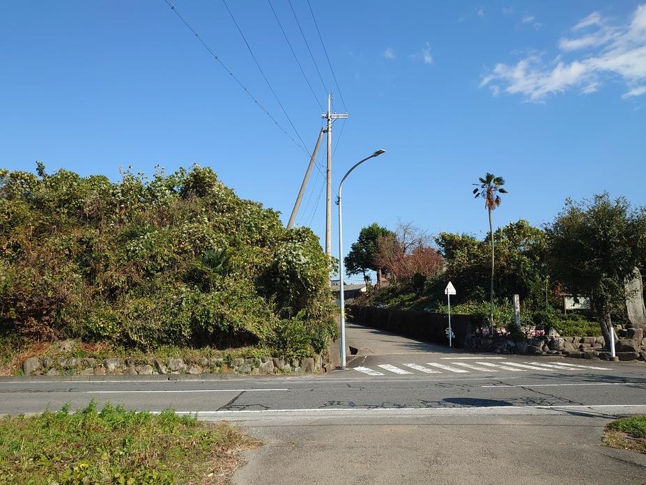 鯰江城