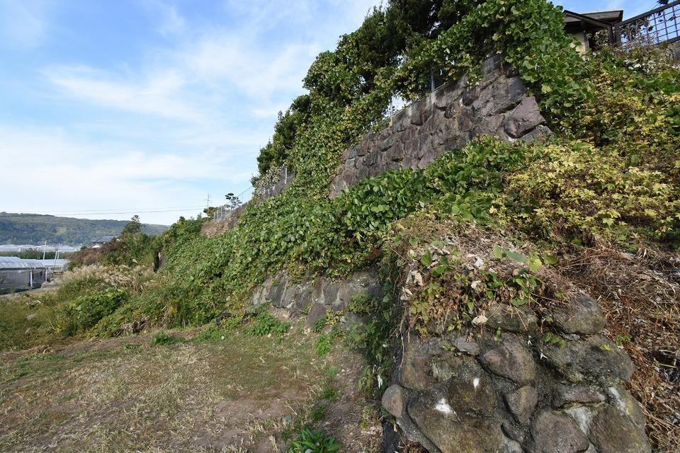 深江城