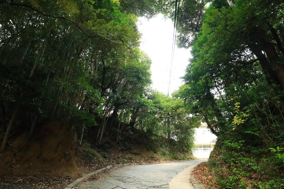 宇龍城