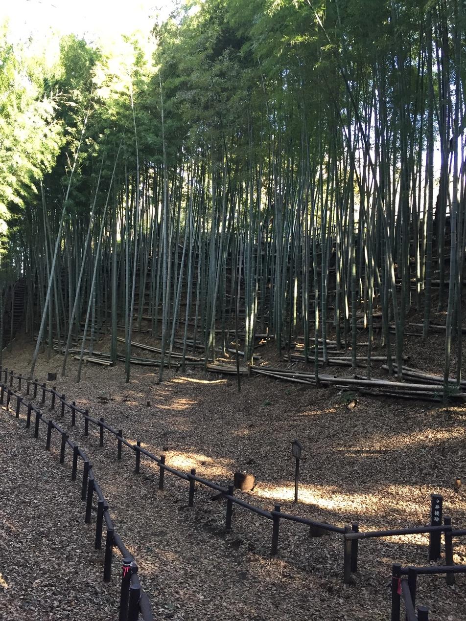 小机城