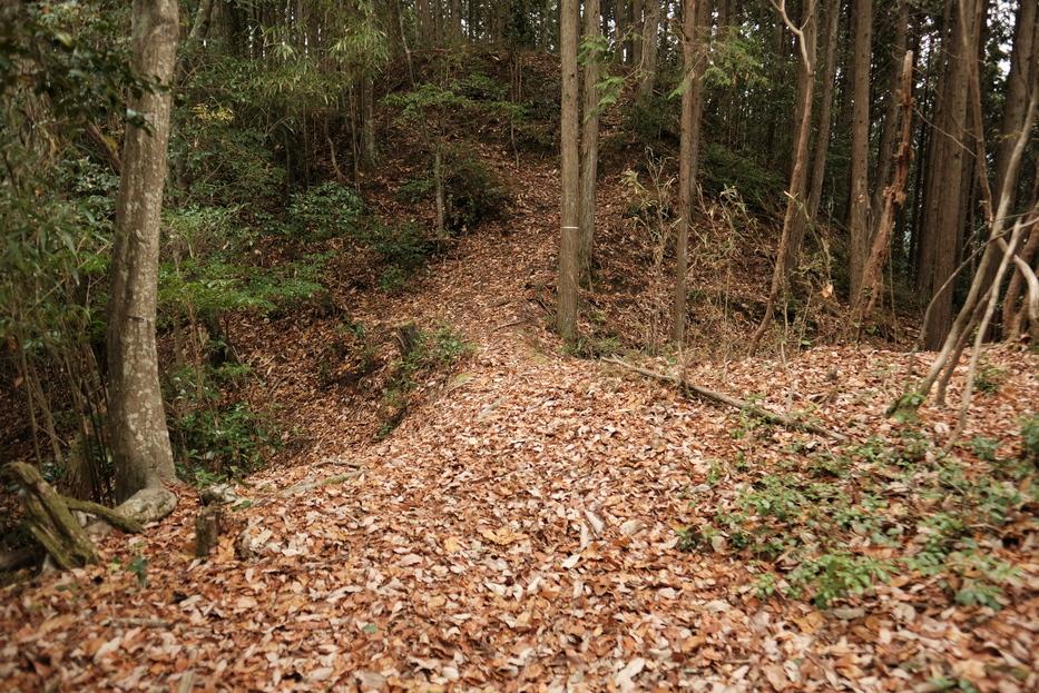 籾井城