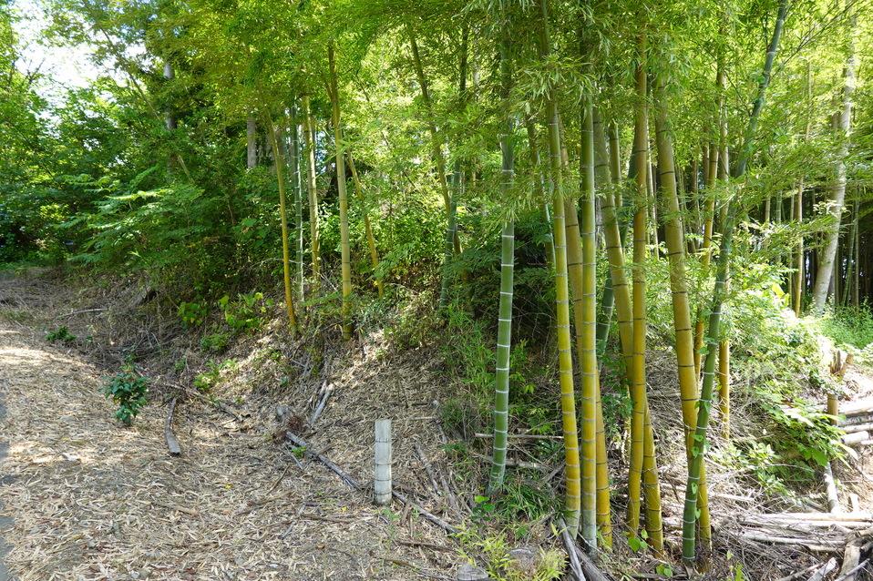 川崎城