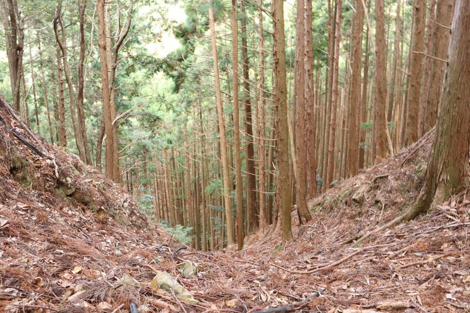 内田城
