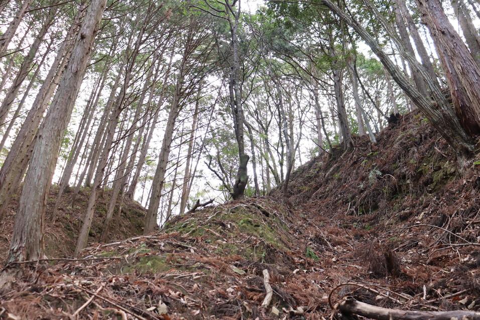 内田城