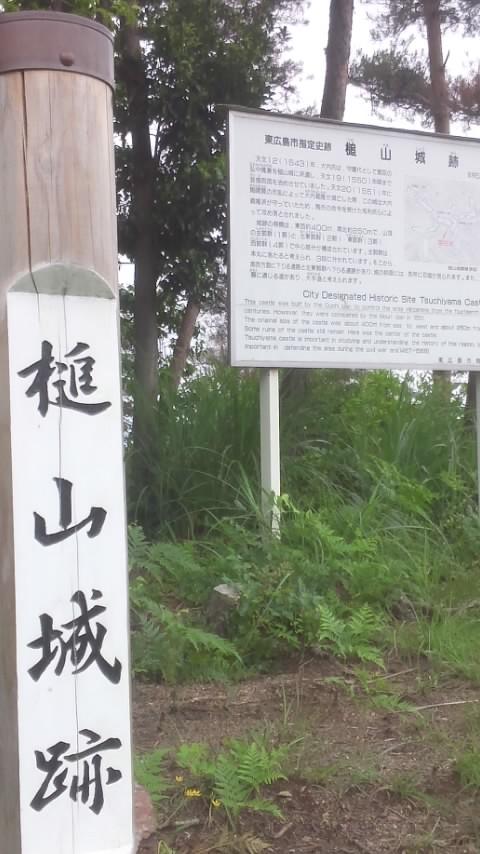槌山城