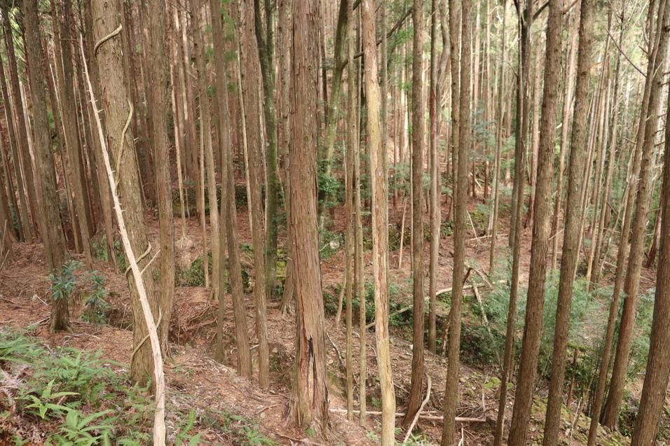 内田城