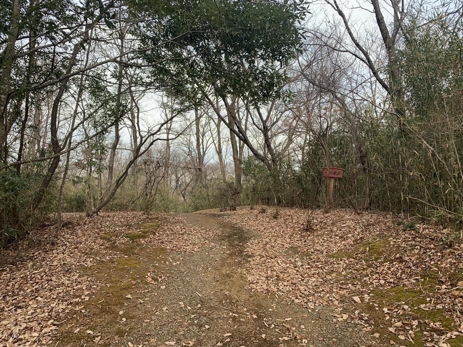 多良崎城