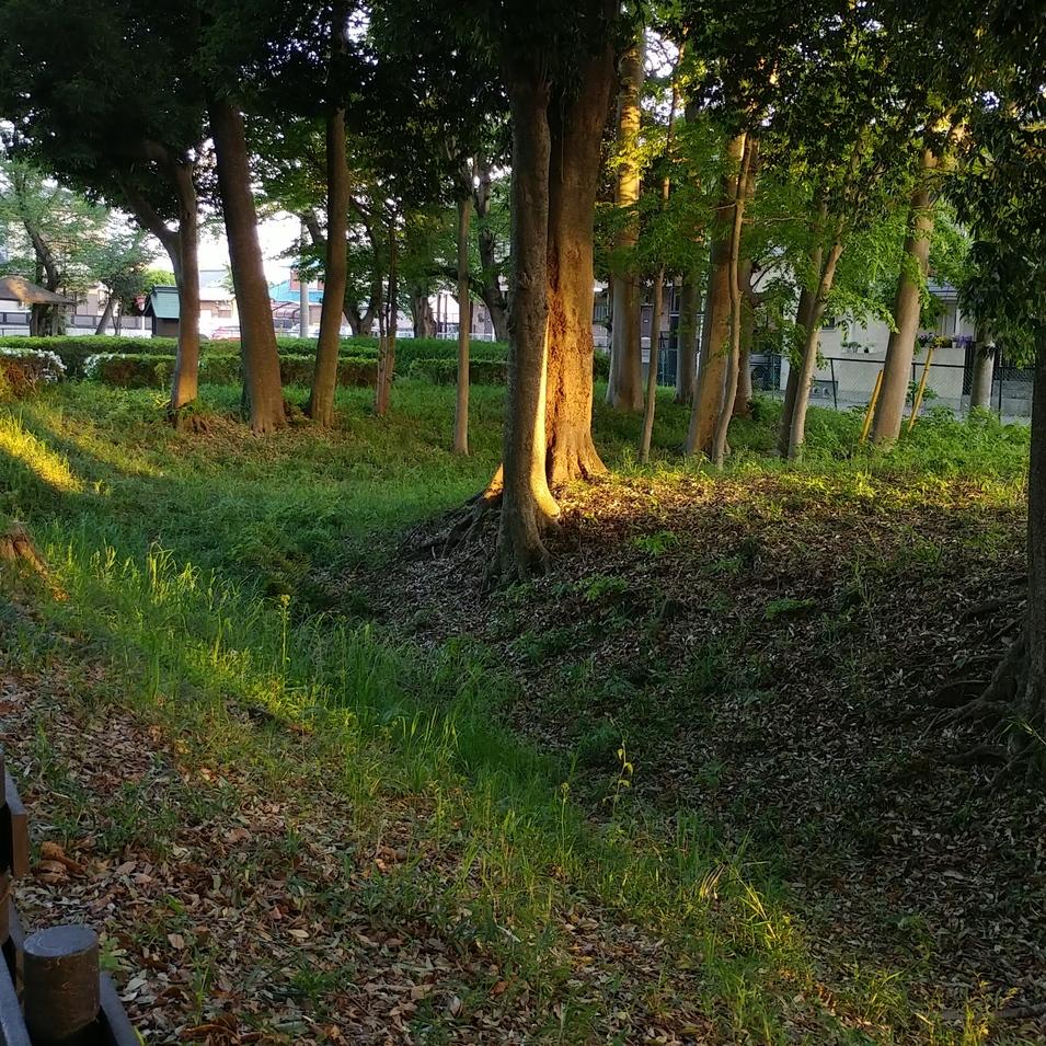 花崎城