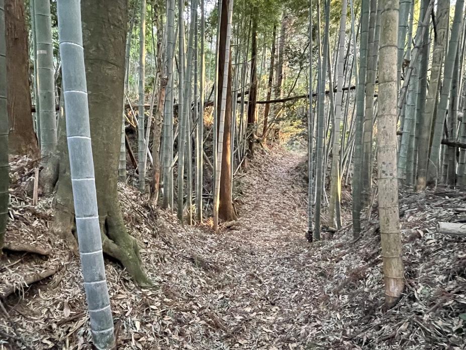 徳宿城
