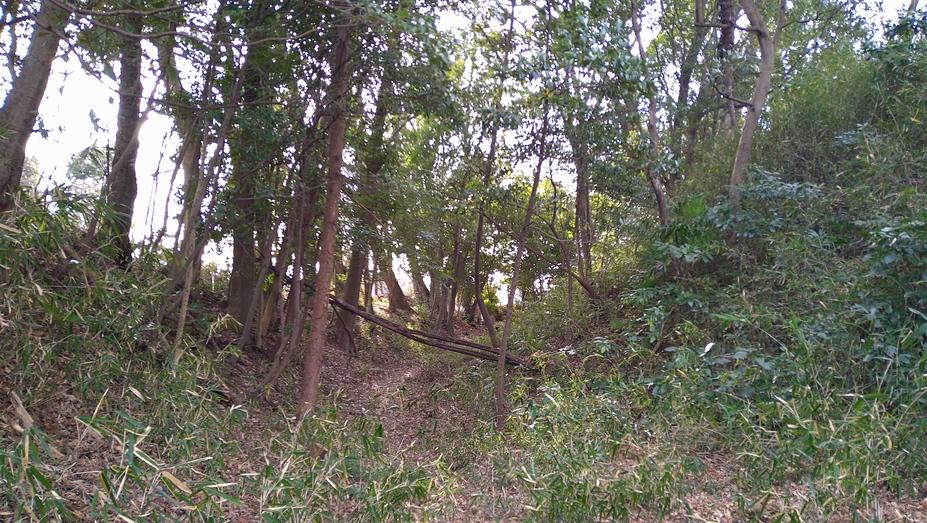 武蔵松山城