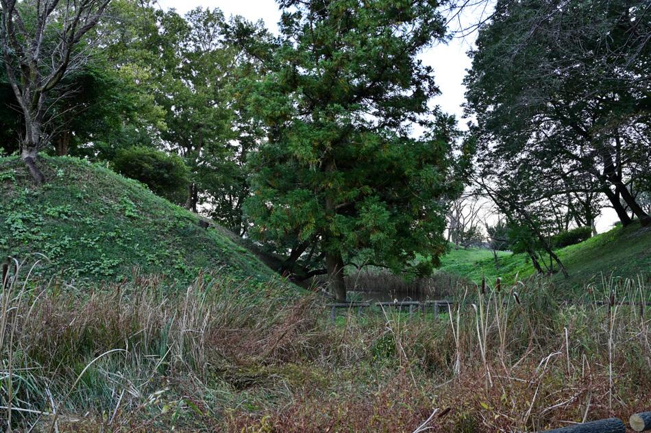 雉岡城