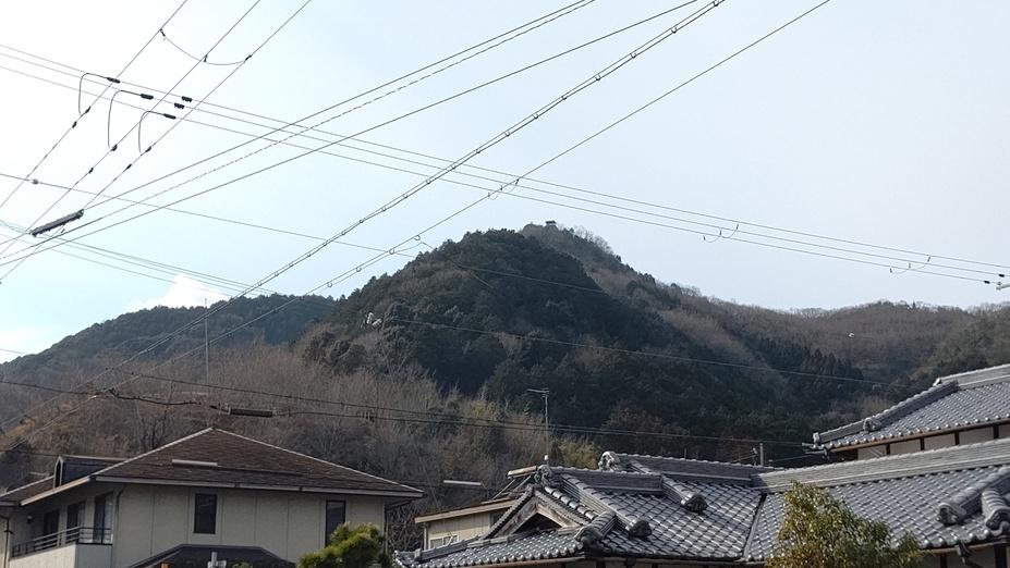 鴾ヶ堂城