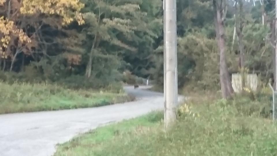 富谷城