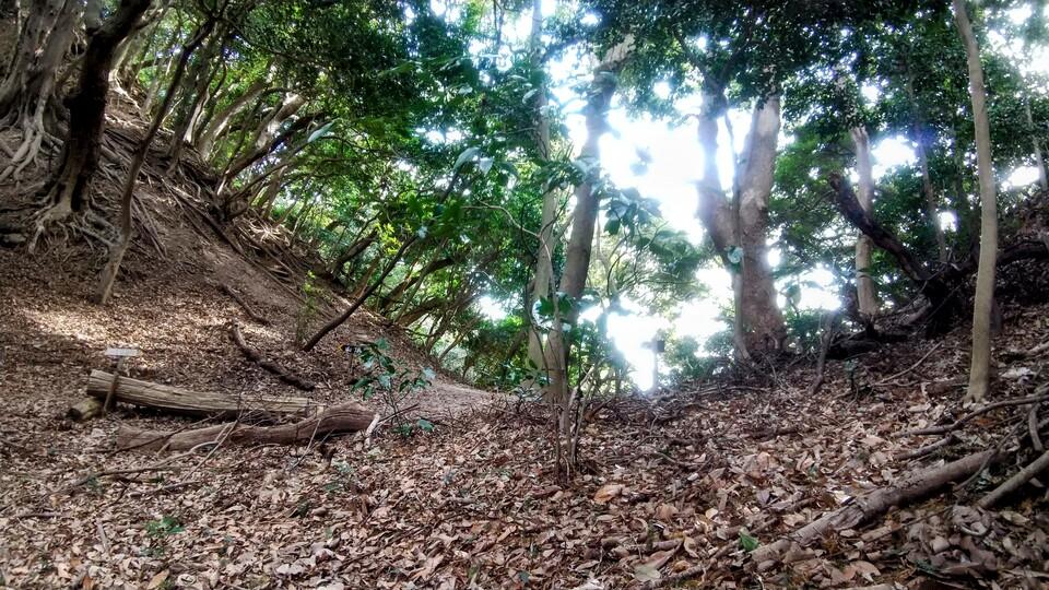 蔦ヶ嶽城