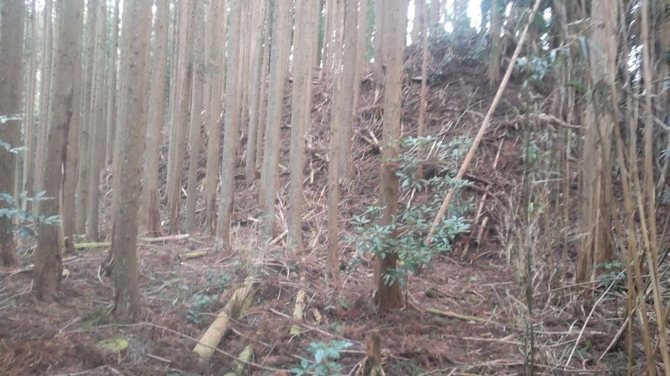 菅野城