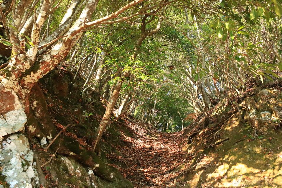 山名氏城館