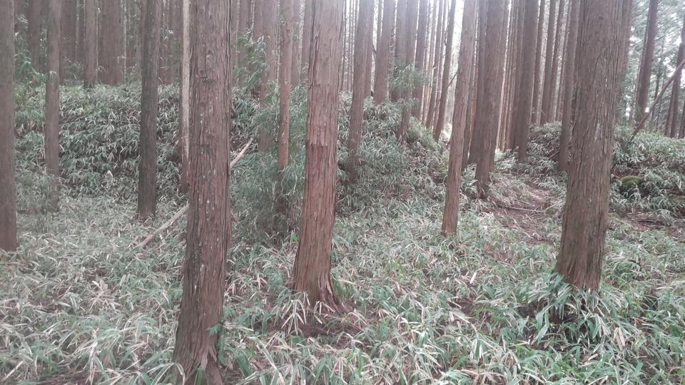 赤埴上城