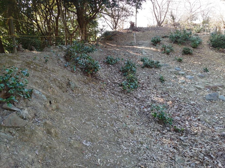 豊前松山城