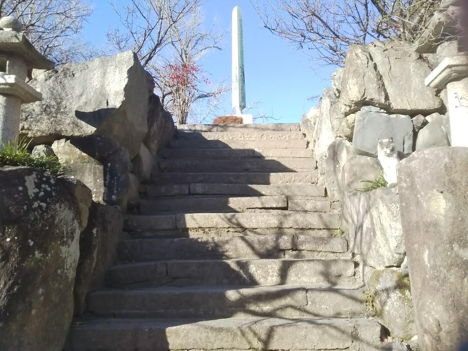 桑名城