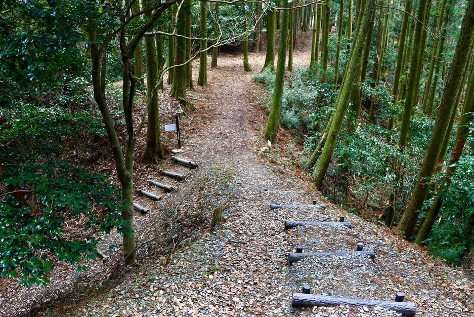 高鳥居城