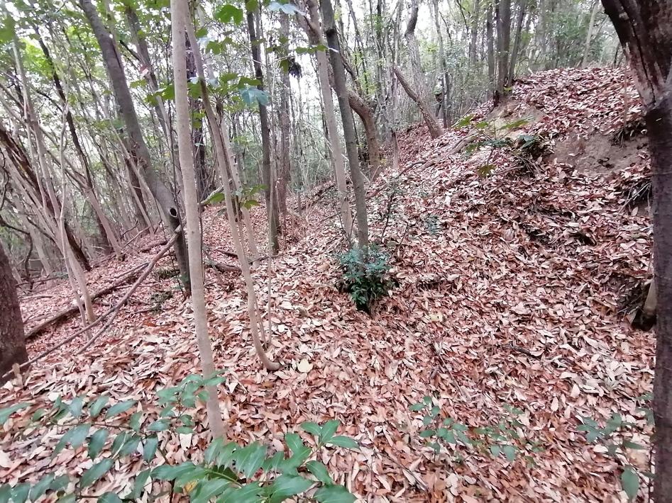 黒山城