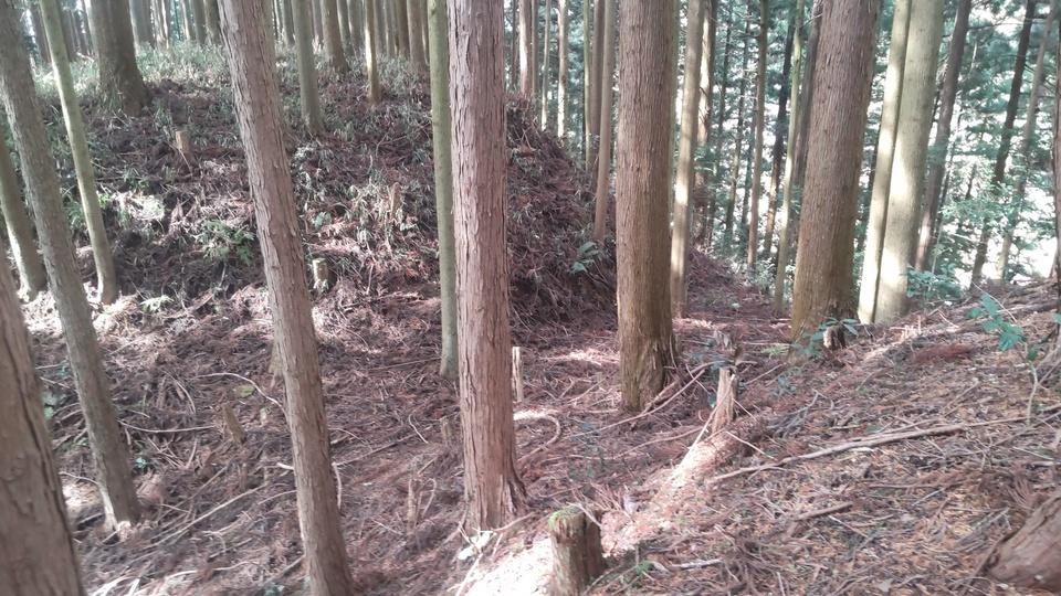 赤埴上城