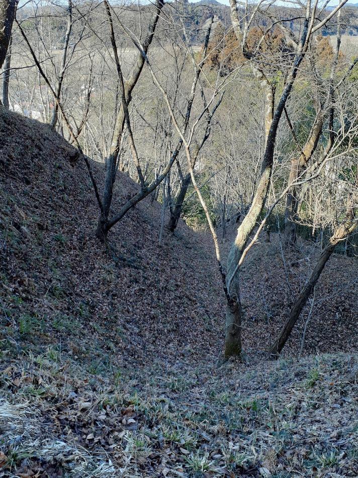 芦野城