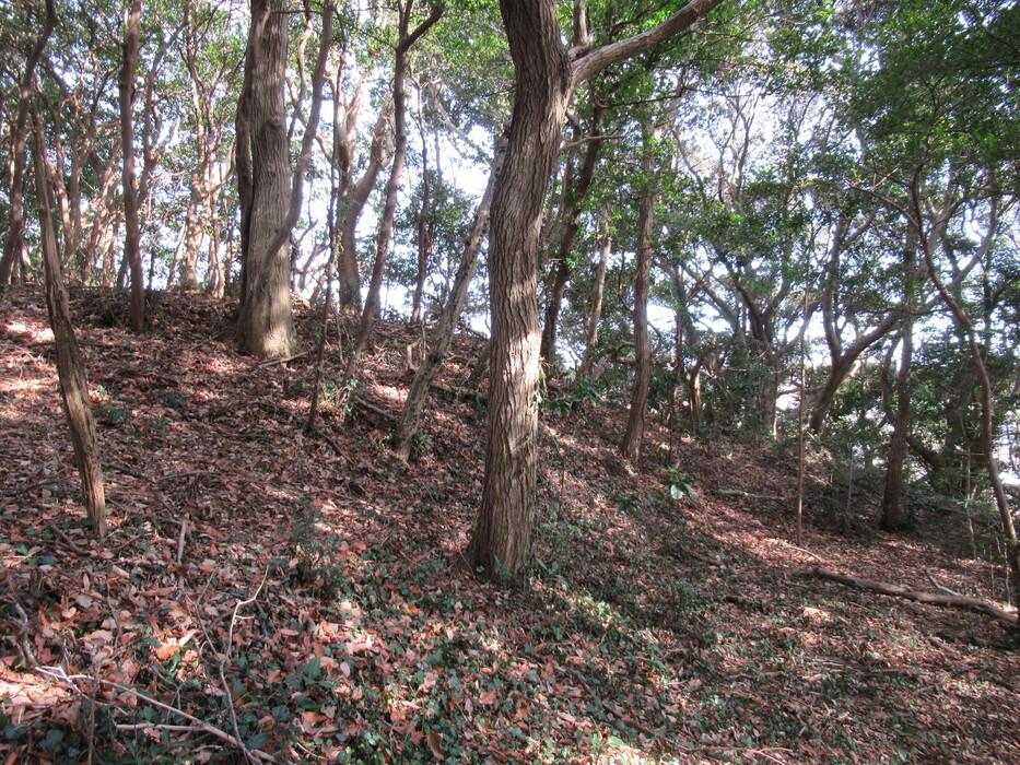 桜井城