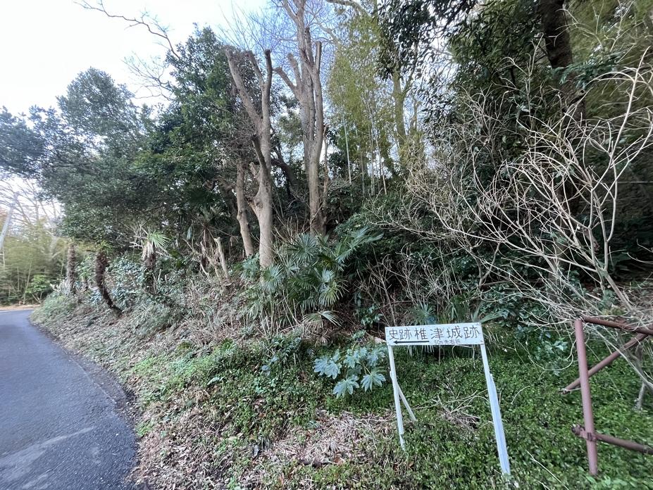 椎津城