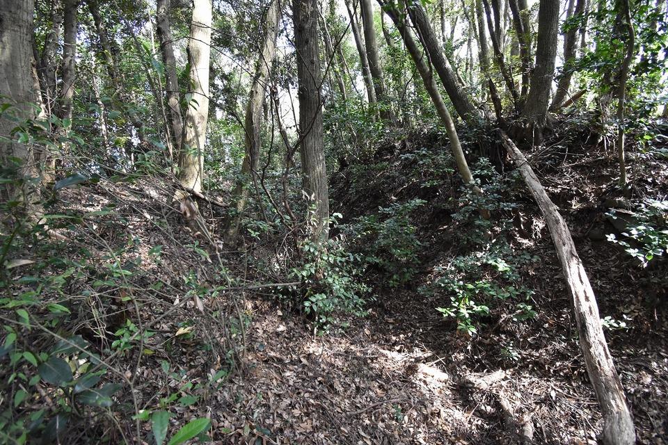針尾城